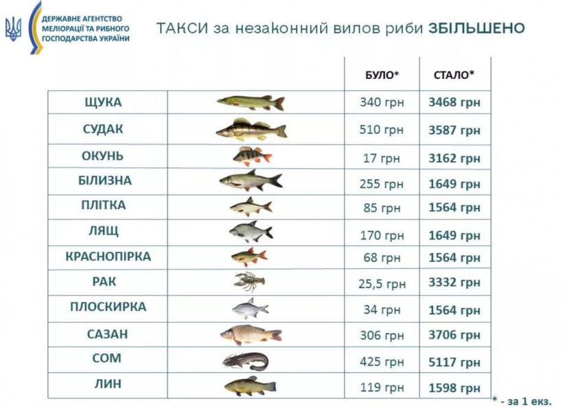 В Україні вводять важливу заборону: які будуть штрафи з 1 квітня 