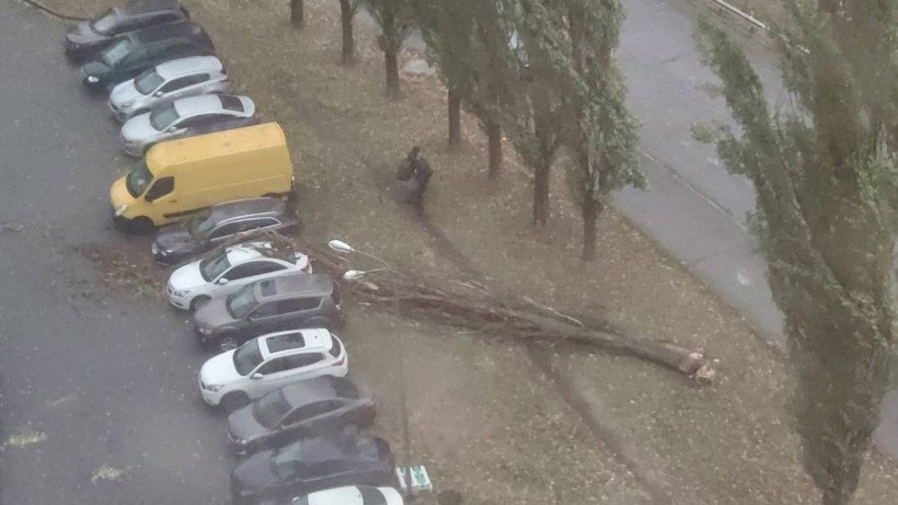 Київ накрила негода, є загиблий: фото та відео наслідків
