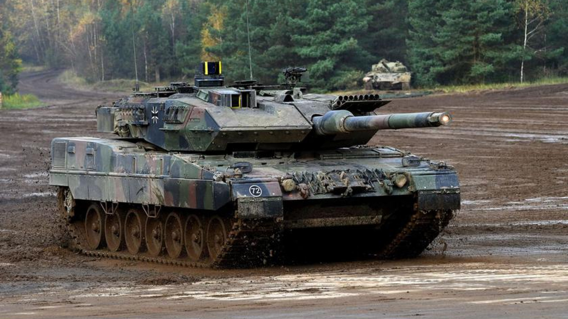Leoprad 2