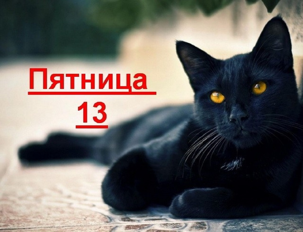 Пятница 13