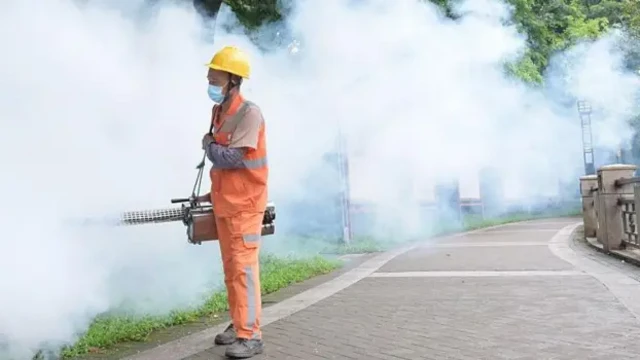 Новый вирус Чикунгунья в Китае