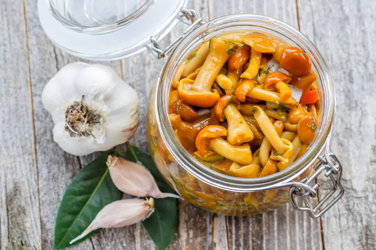 Маринованные опята: вкусная закуска на зиму по рецепту Евгения Клопотенко