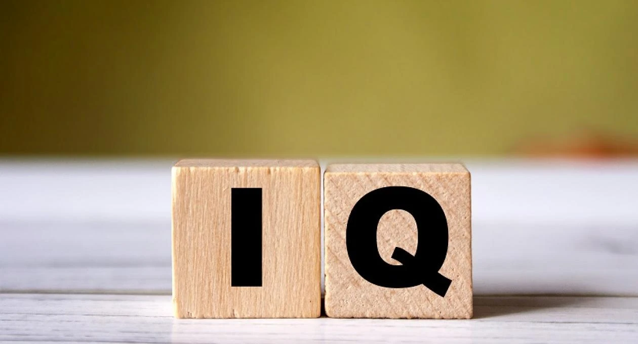 Что такое IQ: как измеряют интеллект и что означают цифры