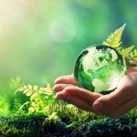 сохранение природы- World-Nature-Conservation-Day
