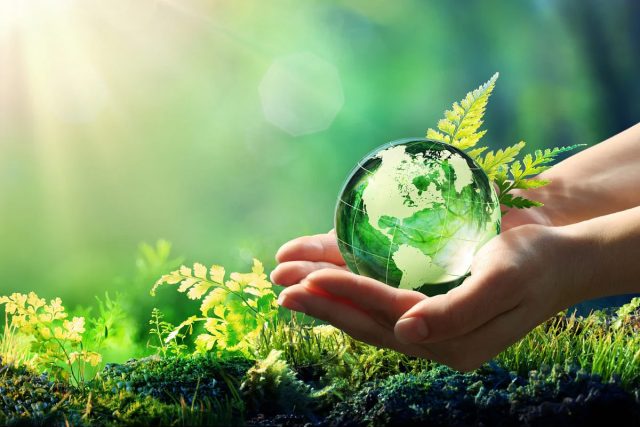 сохранение природы- World-Nature-Conservation-Day