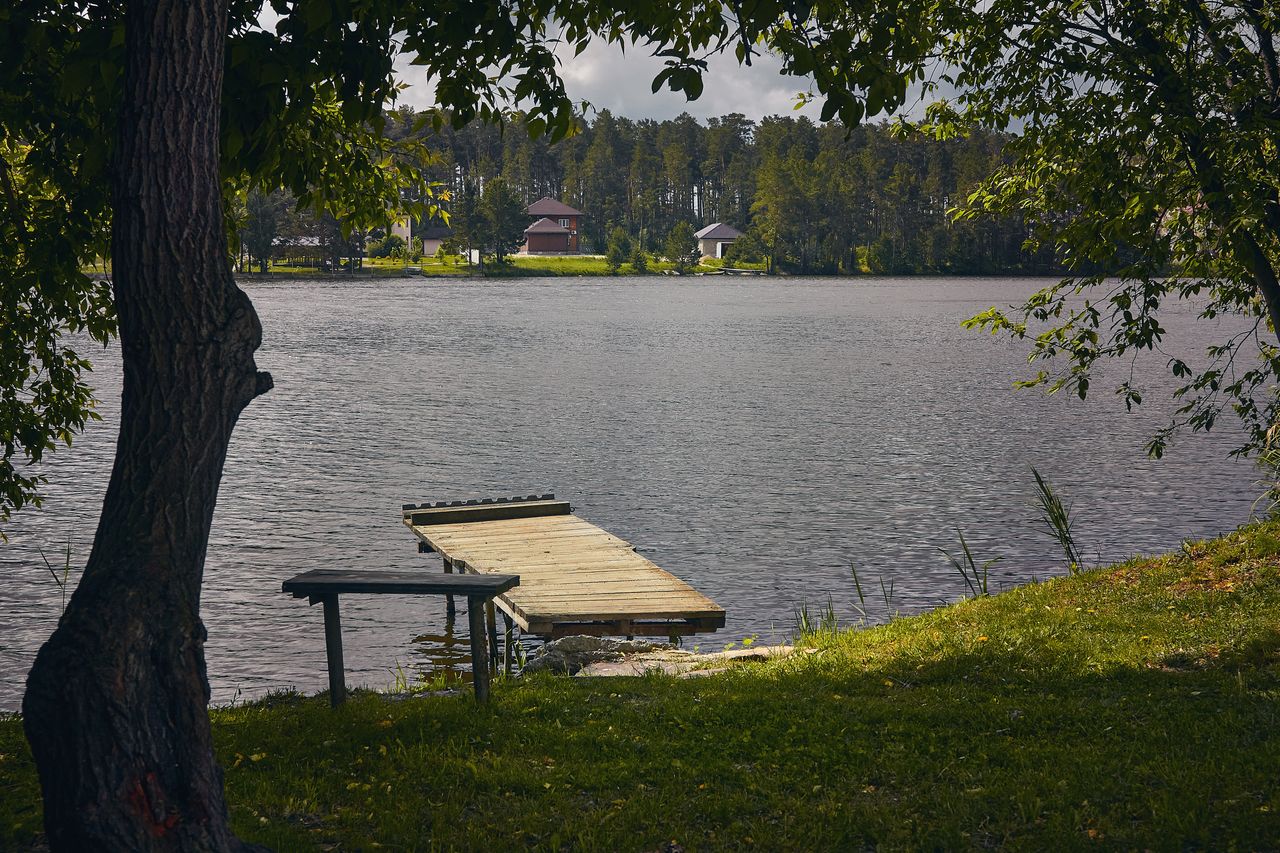Преимущества жизни за городом - pexels-bulat-12466811