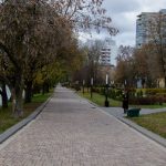 Почему городам нужны деревья - pexels-alexander-fadeev-2157404034-34880898