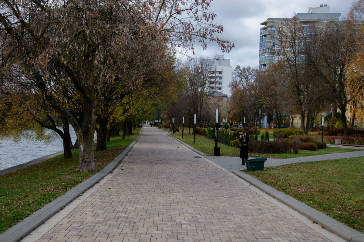 Почему городам нужны деревья - pexels-alexander-fadeev-2157404034-34880898